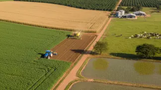 Historias-De-Sucesso