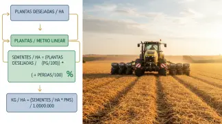 Manejo-Integrado-De-Pragas