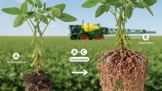 Manejo-Integrado-De-Pragas