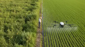 Manejo-De-Plantas-Daninhas
