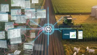 Historias-De-Sucesso