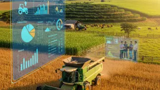 Historias-De-Sucesso