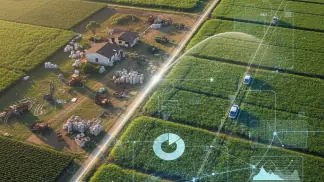 Historias-De-Sucesso