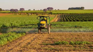 Manejo-De-Plantas-Daninhas