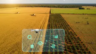 Historias-De-Sucesso