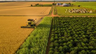 Manejo-Integrado-De-Pragas