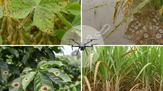 Manejo-Integrado-De-Pragas