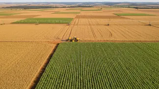 Manejo-Integrado-De-Pragas