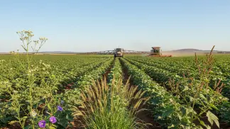 Manejo-De-Plantas-Daninhas
