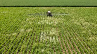 Manejo-De-Plantas-Daninhas
