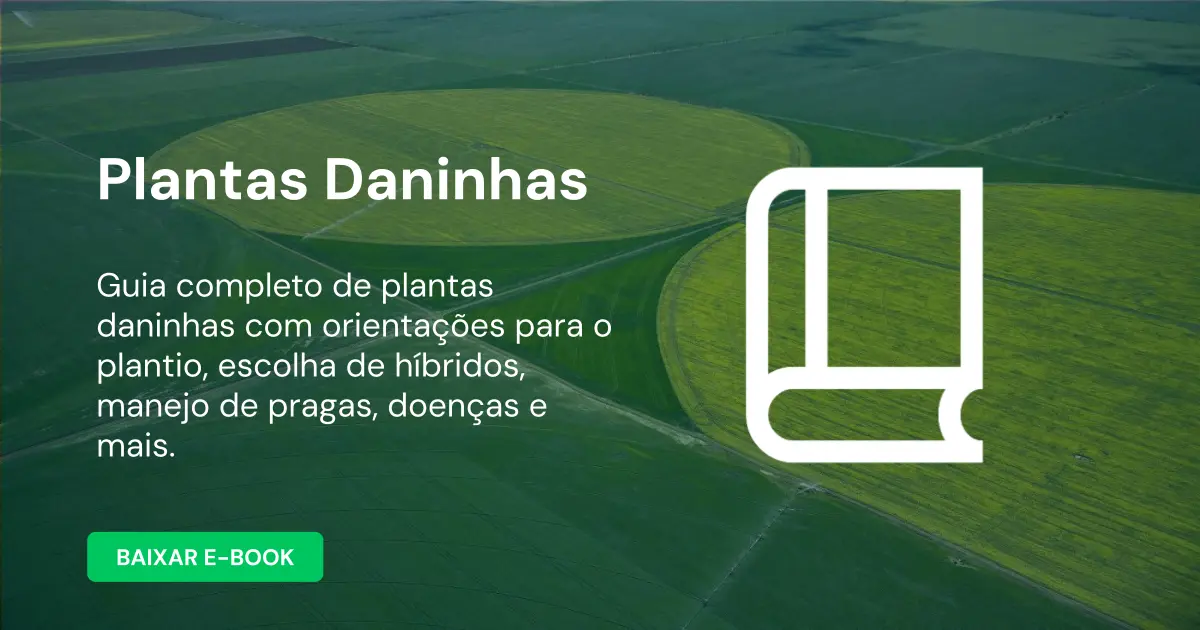 Plantas Daninhas