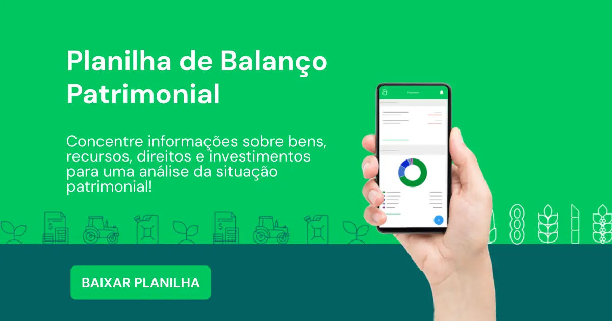 Planilha de Balanço Patrimonial