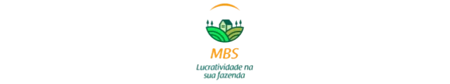 MBS Pinheiro Consult