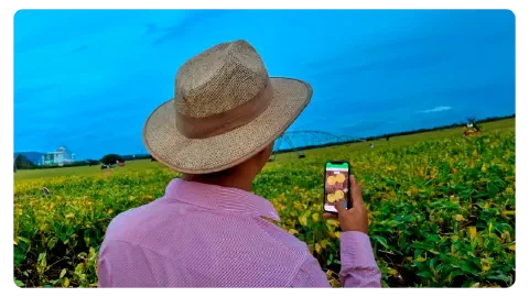 Aegro em qualquer aparelho e lugar. App móvel do Aegro sendo usado no campo pelo produtor.