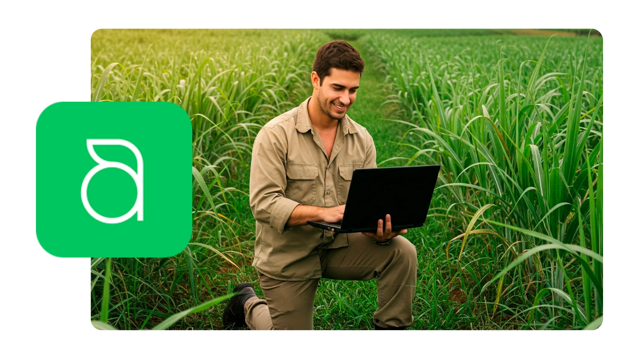 Conexão campo e financeiro. Painel integrado do Aegro mostrando dados do campo e financeiros.