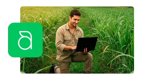 Conexão campo e financeiro. Painel integrado do Aegro mostrando dados do campo e financeiros.