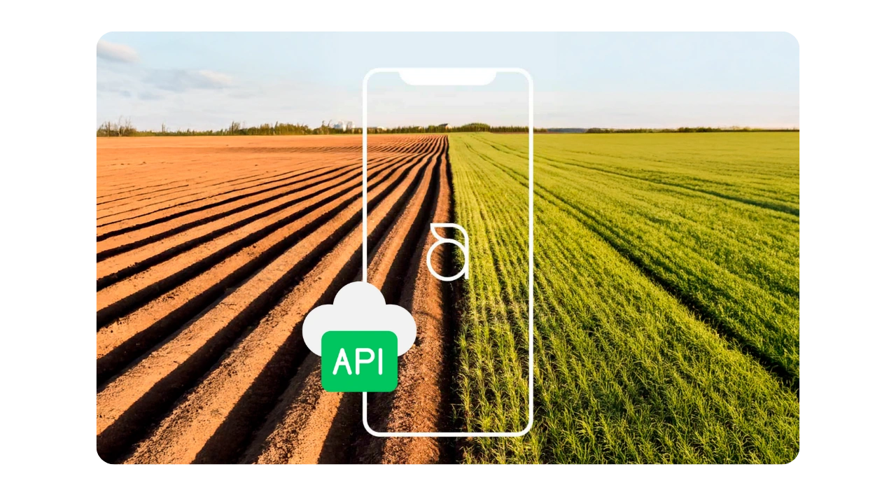 Visualização da ajuda da API pública do Aegro.